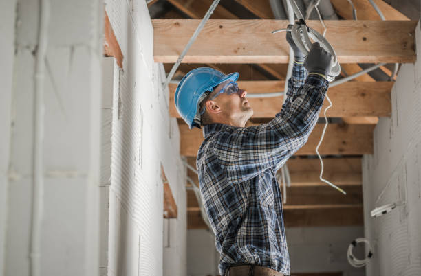Best Licensed Electrician  in Mclendon Chisholm, TX